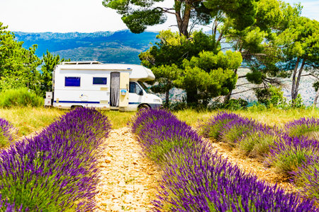 Camper vehicle camping on summer nature at lavender blooming purple field in France. Holidays, vacation with motorhome.の写真素材