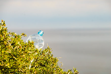 Plastic water bottle abandoned on sea shore. Waste dumped in nature. Environmental pollution, global ecology problem.の写真素材