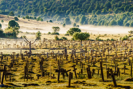 Hazy foggy weather in early morning over Sad Hill Cemetery in Burgos, Spain. Tourist place, spaghetti western film location.の写真素材