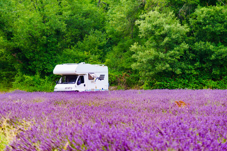 Caravan camping on summer nature at lavender blooming purple field in France. Holidays, vacation with motor home.の写真素材