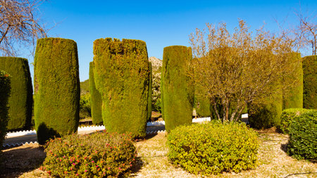 Green plant trees outdoor in garden. Mediterranean nature park.の写真素材