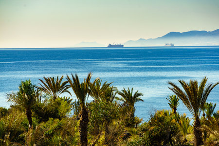 Palm trees on coast against blue sea water at sunny day. Mediterranean region of Villaricos,...