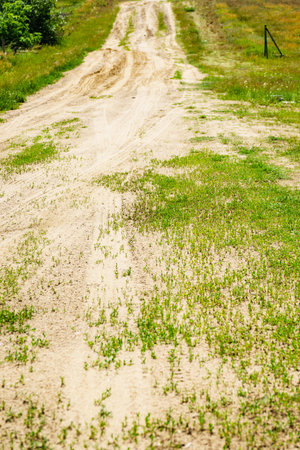 Nature landscape. Country road path. Sunny summer day.の写真素材