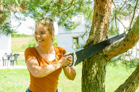 Woman in garden using saw, removing cutting off branches of old tree. Firewood.の写真素材
