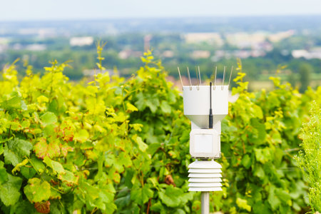 Weather station in green vineyard to monitor atmospheric conditions.の写真素材