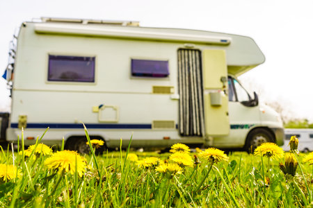 Yellow spring dandelion flower and camper vehicle camping on nature in the distance. Caravan vacation.の写真素材