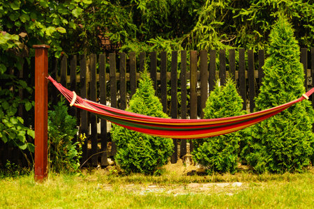 Colorful hammock for rest in gardenの写真素材
