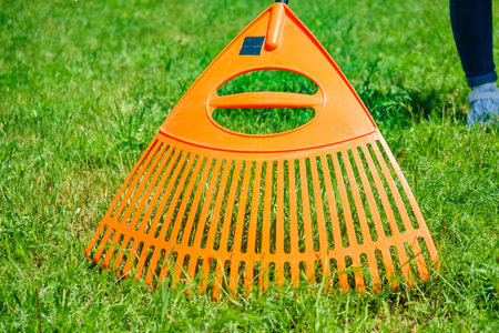 Person raking green lawn grass on backyard, using rake gardening tool.の写真素材