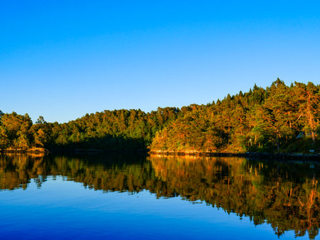 Norwegian fjord landscape near Bergen. Water shore in sunset light. Nature.の写真素材