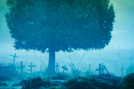 Hazy foggy weather in early morning over Sad Hill Cemetery in Burgos, Spain. Tourist place, spaghetti western film location.の写真素材