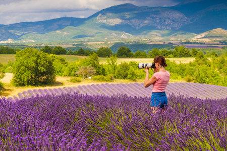 Mature tourist woman with camera taking travel photo from Provence landscape with purple lavender fields. Puimoisson region, Plateau Valensole, Alpes de Haute Provence in Franceの写真素材