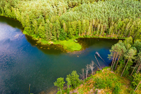 Aerial view. Lake and green forest in Tuchola national park, Poland. Summer landscape in Europe.の写真素材