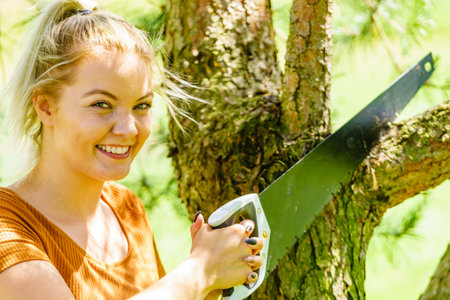 Woman in garden with saw removing cutting off branches of old tree. Firewood.