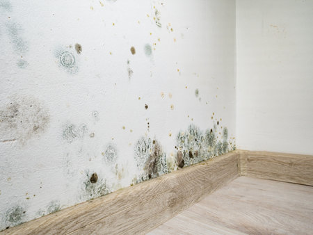 Mold and fungus on wall. Problem of ventilation, dampness, cold indoors in home.の写真素材