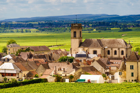 Summer vineyards landscape and village Pommard. Burgundy road. Cote de Beaune, Cote d'Or, France.の写真素材