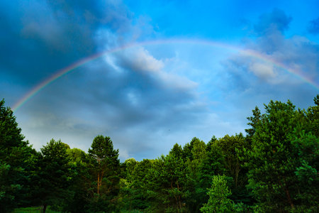 Rainbow over green forest area. Tuchola national park in Poland. Summer woods landscape in Europe.の写真素材