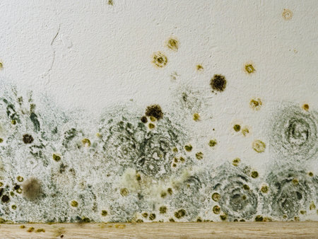 Mold and fungus on wall. Problem of ventilation, dampness, cold indoors in home.の写真素材