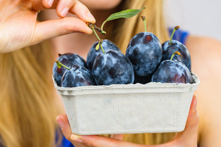 Girl holding blue plum fruits in paper box. Healthy seasonal fruit, organic nutrition, fresh eating.の写真素材