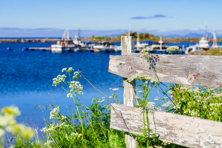 Summer view with fishing port at Hovsund village, Gimsoya Lofoten Islands in Norwayの写真素材