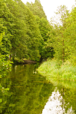 River landscape in summer. Green trees forest on shore.の写真素材