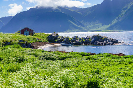 Sea and mountain view at Hovsund fishing port village, Gimsoya Lofoten Islands in Norwayの写真素材