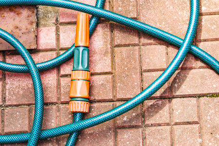 Green gardening hose for watering flowers and grass outsideの写真素材