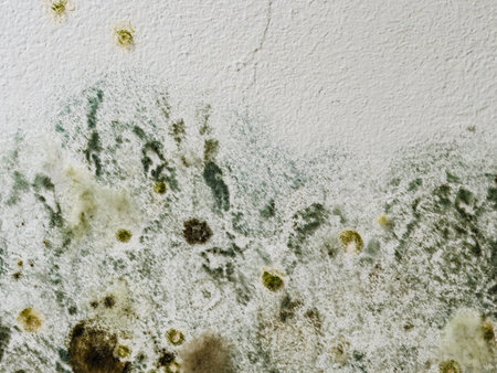 Mold and fungus on wall. Problem of ventilation, dampness, cold indoors in home.の写真素材