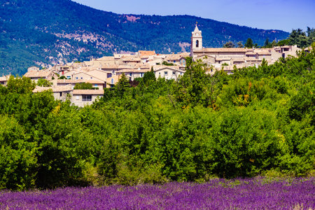 Sault village, health resort in Vaucluse department, Provence in France. Summer landscape with lavender field..の写真素材