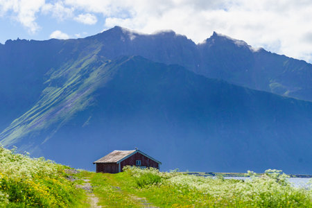 Summer mountain landscape at Hovsund fishing port village, Gimsoya Lofoten Islands in Norwayの写真素材