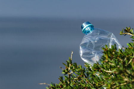 Plastic water bottle abandoned on sea shore. Waste dumped in nature. Environmental pollution, global ecology problem.の写真素材
