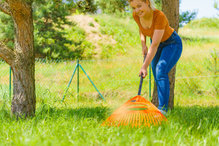 Female person young woman raking green lawn grass on her backyard, using rake gardening tool.