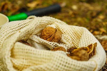Walnut in burlap sack. Healthy food full of omega 3 fatty acids, organic nutrition.