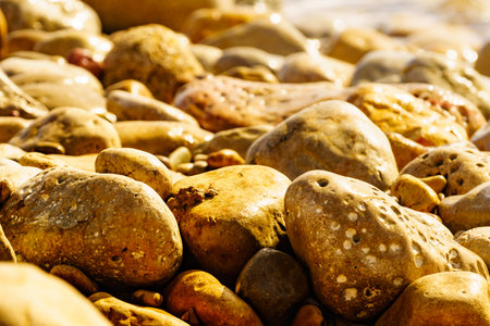 Close up wet stone pebble on beach sea shoreの写真素材