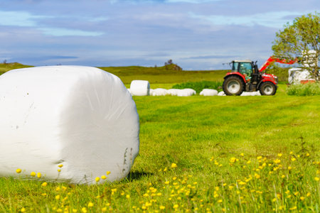 Agricultural view. Tractor working on field with straw packages, cereal bale of hay wrapped in...