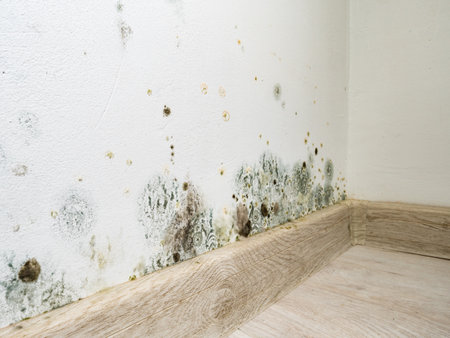 Mold and fungus on wall. Problem of ventilation, dampness, cold indoors in home.の写真素材