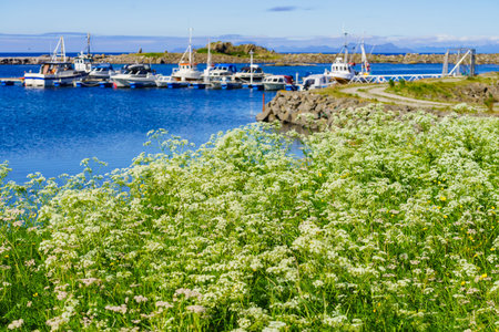 Summer view with fishing port at Hovsund village, Gimsoya Lofoten Islands in Norway
