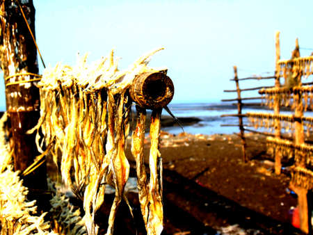 a bamboo fishing board in daman beach, indiaの写真素材