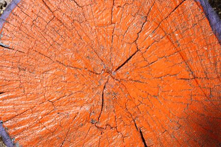 orange background wood textureの写真素材