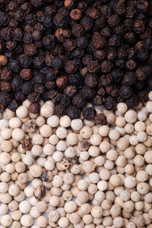 white pepper and black pepperの写真素材