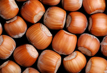 pile of hazelnuts in shell photographed up close