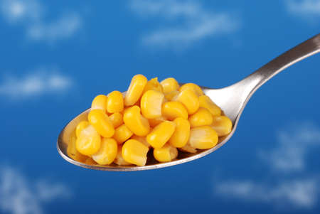 corn kernels in the spoon with the background of the skyの写真素材