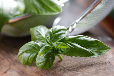 basil leaves on wooden tableの写真素材