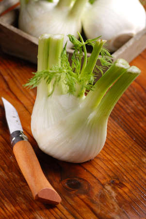 fresh fennel with a knifeの写真素材