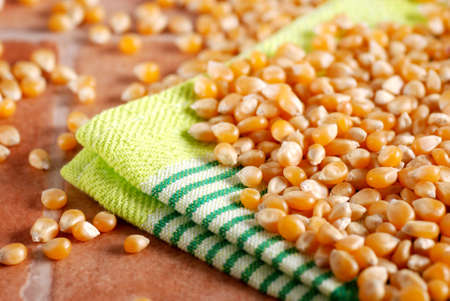 pile of corn on the tableの写真素材