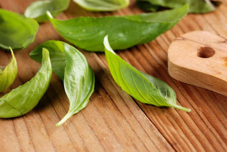 basil leaves on wooden tableの写真素材