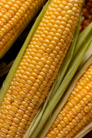 pile of organic corn cobs on the wooden table