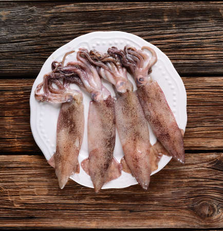 Fresh raw squid in white plateの写真素材