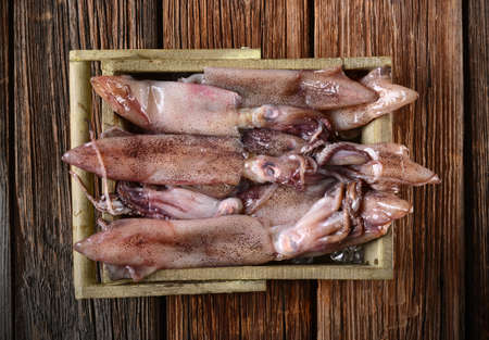Fresh raw squid in wooden boxの写真素材