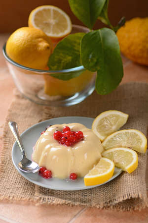lemon pudding with currants in the saucerの写真素材