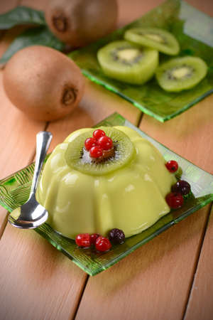 kiwi pudding with currants in glass saucerの写真素材